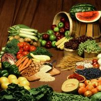 De vijf natuurgerichte principes - Voeding