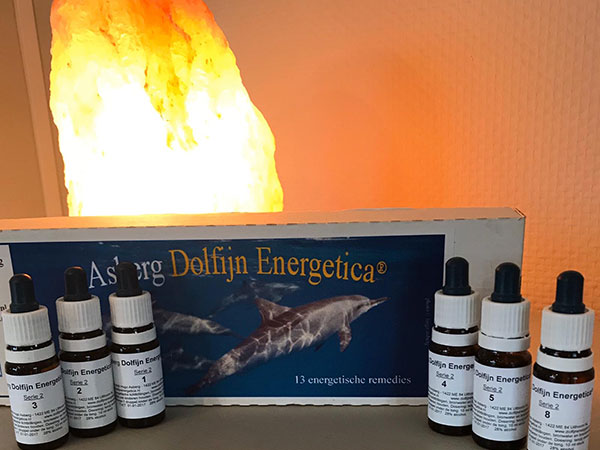 Dolfijnen Energetica